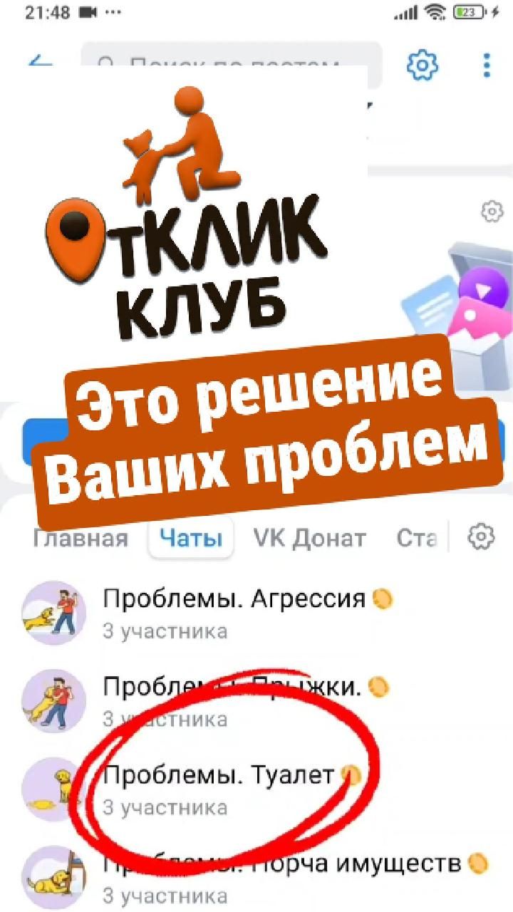 ОтКлик-Клуб - решение всех проблем с собакой
