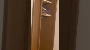 Аренда квартиры в Кисловодске