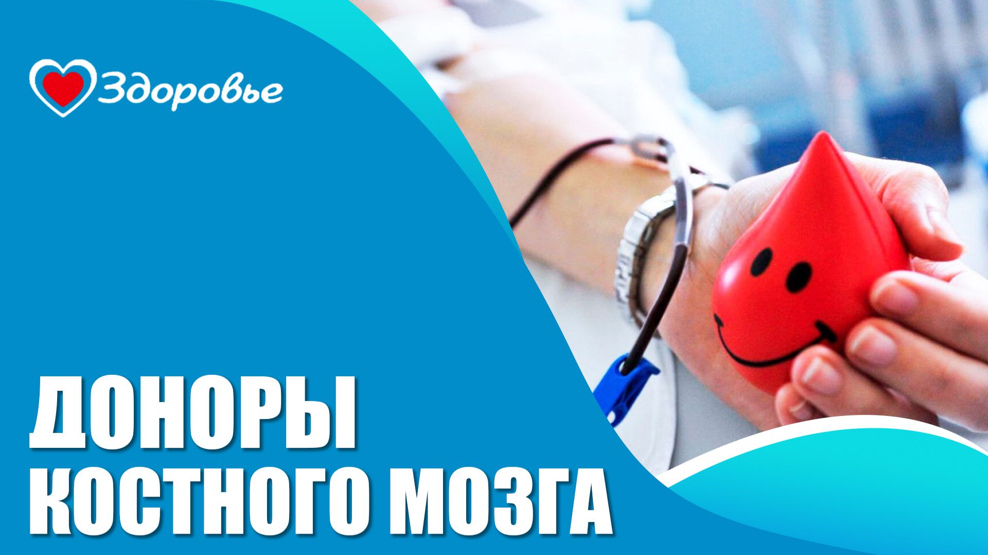 Здоровье.  Доноры костного мозга