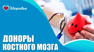 Здоровье.  Доноры костного мозга