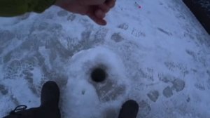 Корюшка на блесны Эридан утяжеленный мормышка и Охотник - мормышка от Mr.Musurok 😎