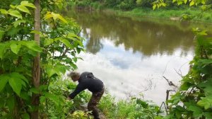 Рыбалка в Июне на поплавок.Не ожидал такого клёва после дождика!