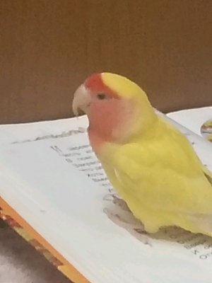 я