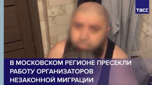 В Московском регионе пресекли работу организаторов незаконной миграции