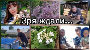 ВЕСЬ ДЕНЬ ЗРЯ ЖДАЛИ...