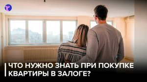Покупка залоговой квартиры: аргументы за и против и какие мошеннические схемы существуют