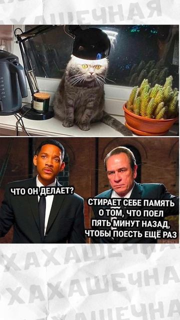 Поздравляю с Днём клубники! смотреть онлайн