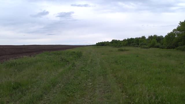 Охота на кабана - Раз... смотреть онлайн
