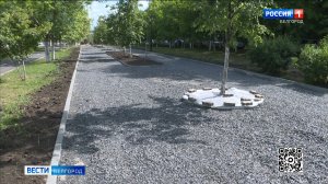 В Белгороде продолжается благоустройство пешеходной зоны на проспекте Ватутина