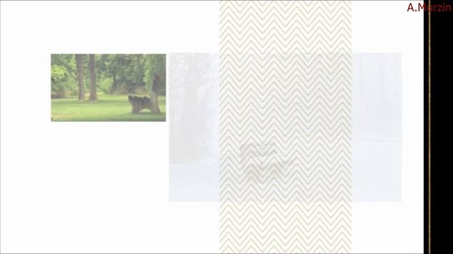 Millimetr - All Accessible Pages