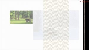 Millimetr - All Accessible Pages