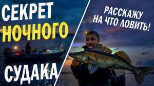 Секреты ночной рыбалки на судака с LiveScope
