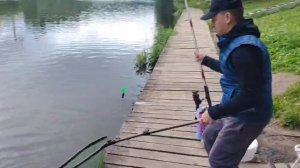 Утро на водоёме.Карпуша