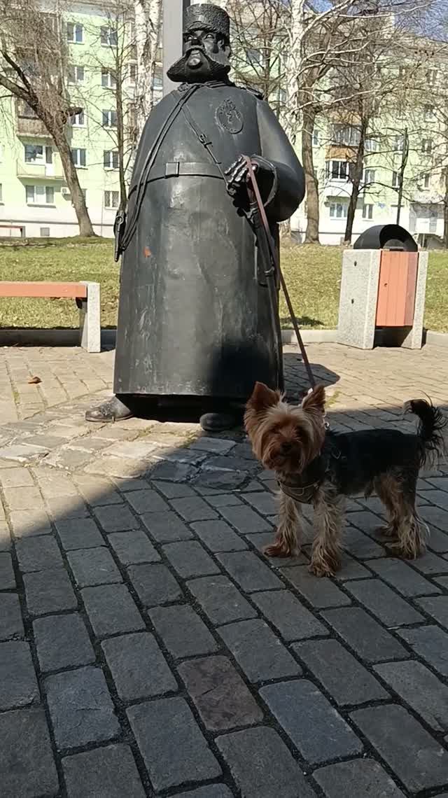 Маленький Мухтар