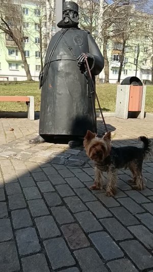 Маленький Мухтар