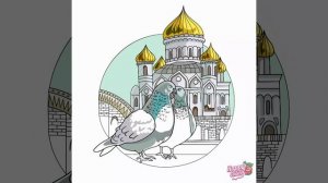 Голуби птицы мира