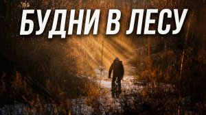 Будни велосипедистов - Парк Юбилейный Барнаул - Хранители Дёртов