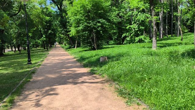 просто прогулка по парку... дышим свежим воздухом смотреть онлайн