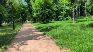 просто прогулка по парку... дышим свежим воздухом