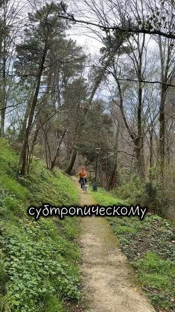 Сочинский вайб😍