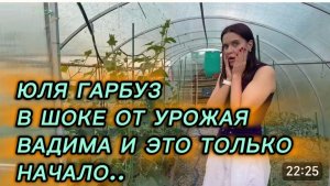 САМВЕЛ АДАМЯН, ЮЛЯ ГАРБУЗ, В ШОКЕ ОТ УРОЖАЯ ВАДИМА И ЭТО ТОЛЬКО НАЧАЛО..