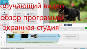 обучающий видео обзор программы «экранная студия».