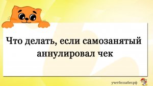 Что делать, если самозанятый аннулировал чек