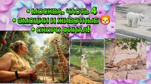 Москва, часть 4: зоопарк, животные и наши эмоции. Это не конец — будет пятая! 🦁🎬