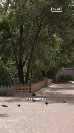 Дворы меняются: как идет благоустройство в жилых кварталах Читы?
