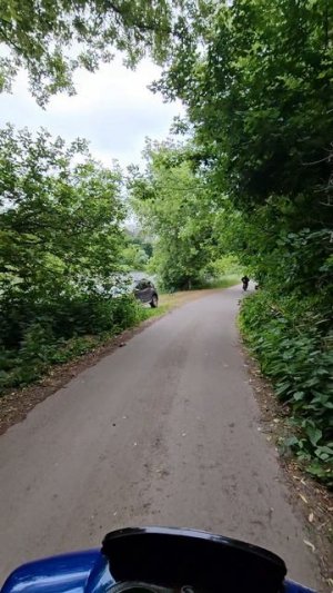 Скутеры
