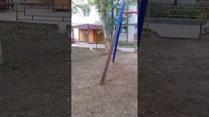 вызываем топ-5 духов на улице.