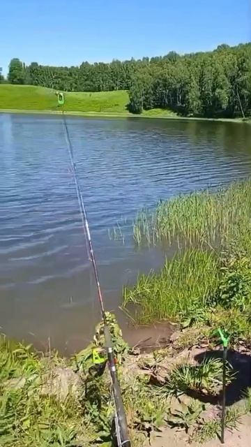 🎣 рыбалочка на оз.Козявочном 😲🐟👶