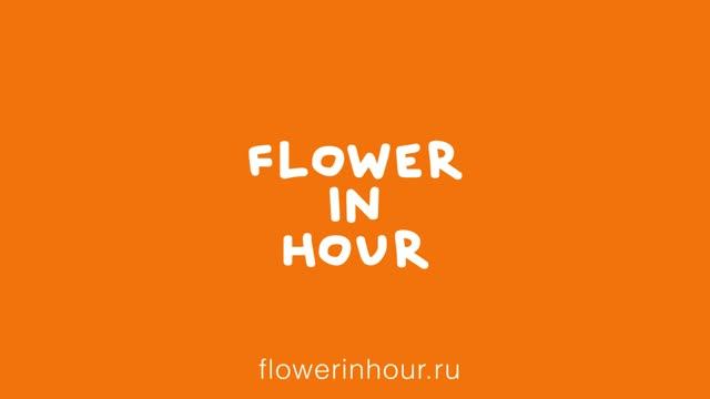 Курочкин Н. «Повод найдется всегда» - серия рекламных роликов (2)