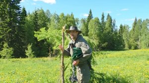 МЕДВЕДЕЙ БЫЛО ЕЩЁ БОЛЬШЕ / СЛОМАЛИ ДЕРЕВО / ЭТО МЕТКА КОСОЛАПОГО / РАССКАЗ ПОСЛЕ ОХОТЫ.