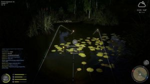 Russian Fishing 4 258 серия так себе караси