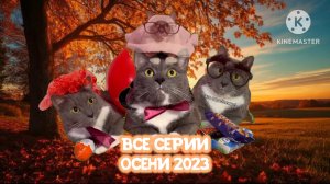 Котики в магазине - все серии осени 2023