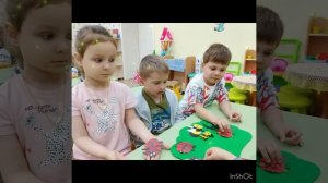 Удивительный мир насекомых