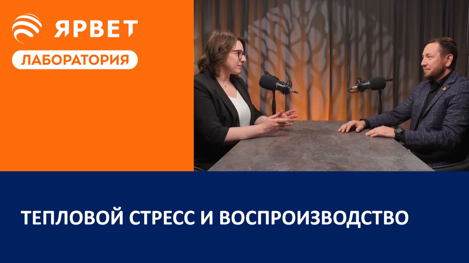 Тепловой стресс и воспроизводство КРС | Подкаст для молочного животноводства