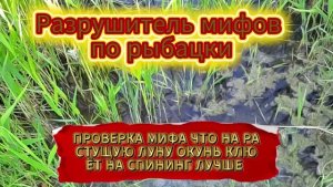РЫБАЛКА НА СПИНИНГ ПРОВЕРКА МИФА ЧТО НА РАСТУЩУЮ ЛУНУ ОКУНЬ ЛУЧШЕ КЛЮЁТ НА СПИНИНГ 17 ИЮНЯ 2026 года