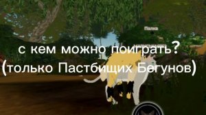 С кем можно поиграть? (Ник не помню) на отделке