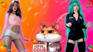 HFM COUB BEST CUBE Coub Приколы 2026 развлекательное шоу, коллекция видео со всего мира