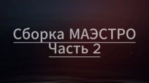 Сборка Маэстро Часть 2