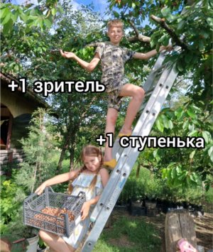 Лестница
