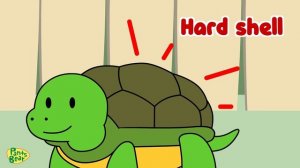 Learn About Animal Body Parts _ English For Kids _ PantsBear
