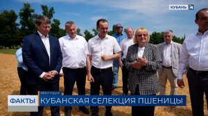 Более 12 млрд рублей предусмотрели на поддержку АПК Кубани в 2026 году