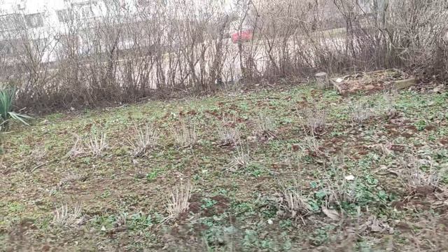 Один из дней города Евпатории | 18 февраля 2022 год | Крым ХАН БАТОН XAH 6ATOH | VID_20220218_142517