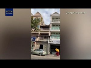 Бегущий по проводам гиббон