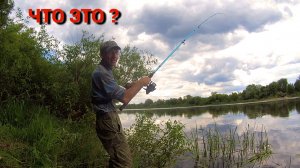 ДА ЭТО ЖЕ РЫБА!  Рыбалка на ДОНКИ и ПОПЛАВОК. ПЕНОПЛАСТ и САЛО.