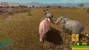 видео из Ютуба ! Саванна лайф | Savanna life