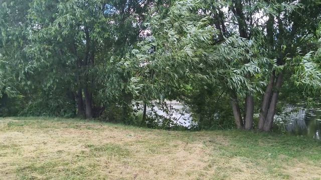 295.mp4 смотреть онлайн